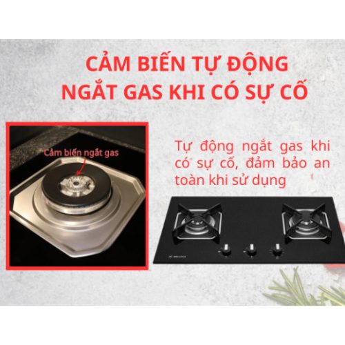 sg 11134275 824ii mf3godhbad54fb